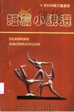 短篇小说选 1980-1990 1990 PDF电子版封面 7805420416 潘江津主编;李青,吕炳文,王效文,马松林副主编