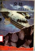 空劫 劫机犯罪之路 1990 PDF电子版封面 7503908076 徐海滨著