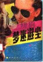 梦迷避尘 上 1989 PDF电子版封面 7805580103 张西庭,刘焕鲁,宋新立