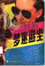 梦迷避尘 下 1989 PDF电子版封面 7805580103 张西庭,刘焕鲁,宋新立
