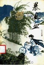 暴风雪 1990 PDF电子版封面 7536309155 叶玉生著