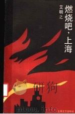 燃烧吧，上海  火焰三部曲第二部（1989年07月第1版 PDF版）