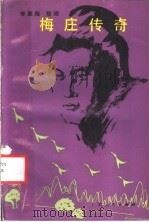 梅庄传奇   1987  PDF电子版封面  7219001371  李肇隆整理 