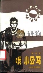 哦, 小公马 1987 PDF电子版封面 753540006X 邹志安著