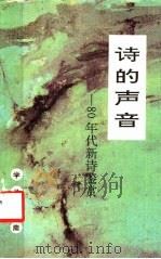 诗的声音 80年代新诗鉴赏 1992 PDF电子版封面 754193237X 周政保选评