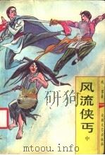 风流侠丐 中 1991 PDF电子版封面 7539604441 残墨著