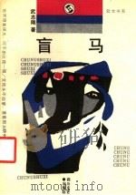 盲马 1990 PDF电子版封面 7541106259 武志刚著