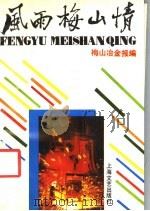 风雨梅山情 1991 PDF电子版封面 7532108007 梅山冶金报编