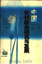 中国农村政治稳定与发展 1995 PDF电子版封面 7543014246 张厚安,徐勇主笔项继权著