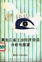 黑龙江省工业经济效益分析与展望 1988 PDF电子版封面 7207009561 张弢,张琢琨,汪湜,李宪徐著