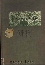 河北省出土文物选集 1980 PDF电子版封面 11068·713 河北省博物馆,文物管理处编;彭华士等摄影