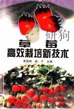 草莓高效栽培新技术（1998 PDF版）