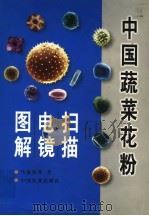中国蔬菜花粉扫描电镜图解 1999 PDF电子版封面 7109054098 马德伟等著