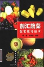 创汇蔬菜配套栽培技术（1999 PDF版）