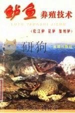鲈鱼养殖技术 松江鲈 花鲈 加州鲈 1999 PDF电子版封面 750820817X 薛镇宇等编著