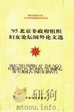95北京非政府组织妇女论坛国外论文选 1998 PDF电子版封面 780131249X 第四次世界妇女大会、95北京非政府组织妇女论坛丛书编委会编