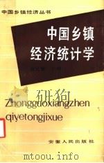 中国乡镇经济统计学 1987 PDF电子版封面 7212000337 翁礼毅主编