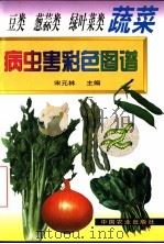 豆类  葱蒜类  绿叶菜类蔬菜病虫害彩色图谱（1999 PDF版）