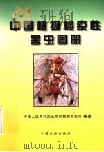 中国植物检疫性害虫图册 1999 PDF电子版封面 7109059731 耿秉晋主编;中华人民共和国北京动植物检疫局编著