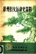 漳州妇女运动史资料  1（ PDF版）