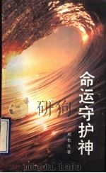 命运守护神 九集电视片文本 1993 PDF电子版封面 7504325023 郑也夫著
