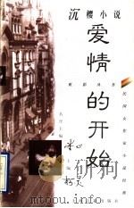 沉樱小说 爱情的开始 1997 PDF电子版封面 7532523225 沉樱著;陈宁宁编选