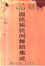中国民族民间舞蹈集成 湖南卷 下 1991 PDF电子版封面 7800750213 中国民族民间舞蹈集成编辑部编