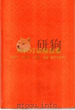 现代灯谜精品集（1995 PDF版）