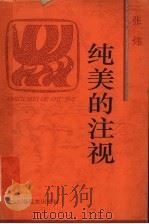 纯美的注视   1996  PDF电子版封面  7806132074  张炜著 