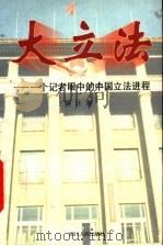 大立法 一个记者眼中的中国立法进程 1997 PDF电子版封面 7220036329 阿计著
