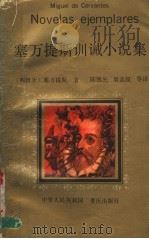 塞万提斯训诫小说集 1992 PDF电子版封面 753662154X (西)塞万提斯(Cerrantes,Mignel de)著;