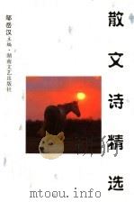 散文诗精选 1993-1998 1998 PDF电子版封面 7540419458 邹岳汉主编