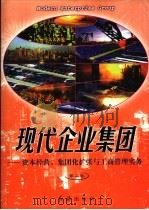 现代企业集团 第2卷 1998 PDF电子版封面 7505102680 刘小布,董少昆,唐文清,王焕良主编