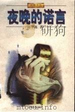 夜晚的诺言 1998 PDF电子版封面 7539911719 邱华栋著