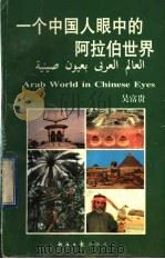 一个中国人眼中的阿拉伯世界 1996 PDF电子版封面 7801271785 吴富贵著