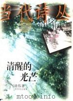 清醒的光芒 1997 PDF电子版封面 750131327X 赵清伟著
