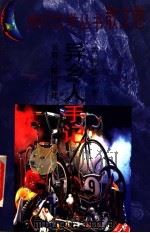 异乡人手记 1995 PDF电子版封面 7222018239 (英)虹影著