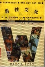 男性文化 1991 PDF电子版封面 7531706164 韩明安,萧永年,孙正甲主编;韩磊,王爱丽等著