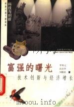 富强的曙光 技术创新与经济增长 1999 PDF电子版封面 7544011208 罗利元等著