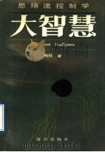 大智慧 思场流控制学 1991 PDF电子版封面 7501505829 陶同著