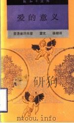 爱的意义 1996 PDF电子版封面 7108004925 索洛维约夫著;董友,杨朗译