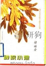 禅院小憩 1998 PDF电子版封面 7539911794 储福金著