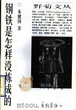 钢铁是怎样没炼成的 1997 PDF电子版封面 7543616777 朱健国著