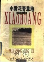 小黄花青草地 1997 PDF电子版封面 7532115550 林燕妮著