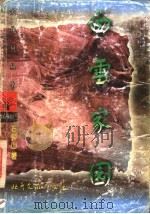 白雪家园（1996 PDF版）