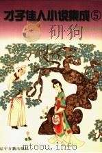 才子佳人小说集成 5 1997 PDF电子版封面 7805073872 林辰主编