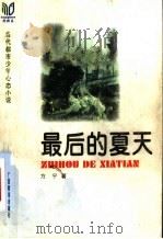 最后的夏天 1999 PDF电子版封面 7543528878 方宁著