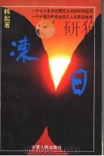 冻日 下 1994 PDF电子版封面 722701391X 韩起著