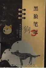 黑狼笔记   1999  PDF电子版封面  7535418740  陈立平著 