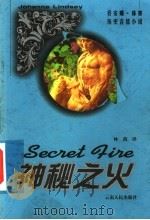 神秘之火 1999 PDF电子版封面 7222027025 (美)乔安娜·林赛(Jonhanna Lindsey)著;林
